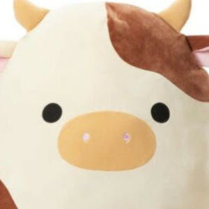 Meet your Posher, Kristen